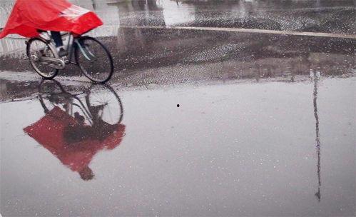 娱乐吃瓜酱第七天,揭秘娱乐圈幕后故事，带你领略明星真实生活