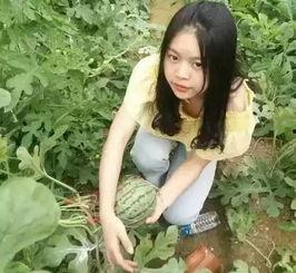 落梦楠娱乐吃瓜,揭秘娱乐圈最新吃瓜事件