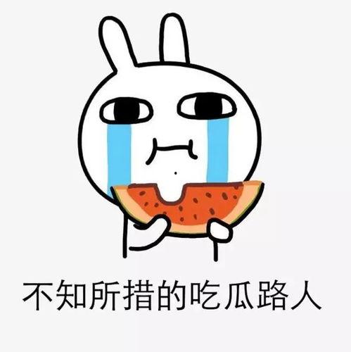 吃瓜娱乐没有圈,吃瓜群众的无圈生活